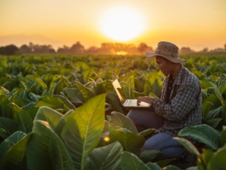 farmer in his field working on his laptop